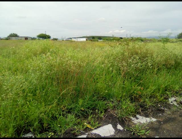 275M² VACANT LAND FOR SALE IN BOITEKONG
